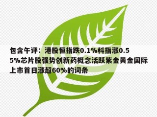 包含午评：港股恒指跌0.1%科指涨0.55%芯片股强势创新药概念活跃紫金黄金国际上市首日涨超60%的词条