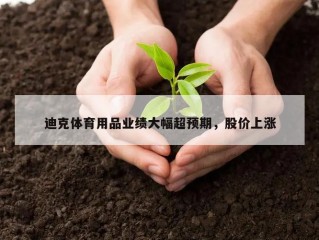 迪克体育用品业绩大幅超预期，股价上涨