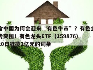 包含中国为何会迎来“有色牛市”？有色企业顺势突围！有色龙头ETF（159876）近20日狂揽2亿元的词条